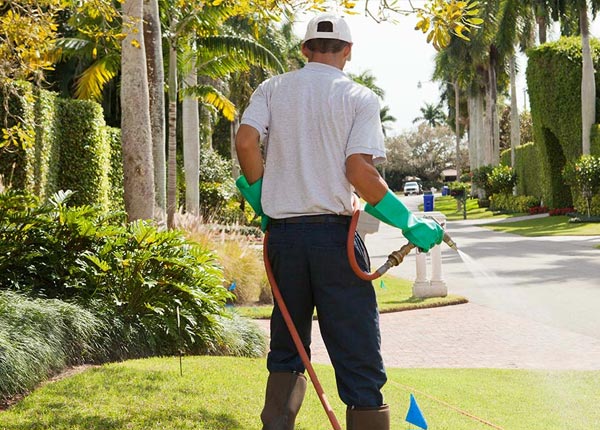 About Cabool MO Pest Control